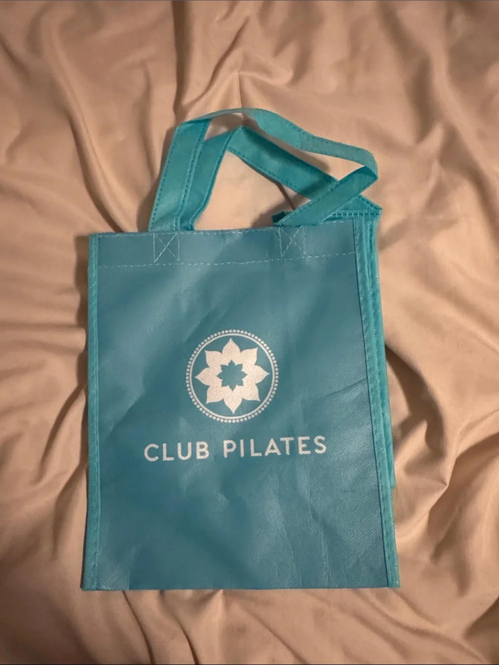 Reusable Tote Bag in Teal Blue